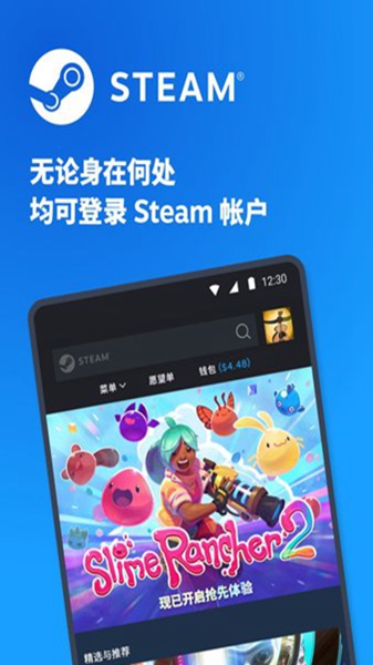 手机Steam截图